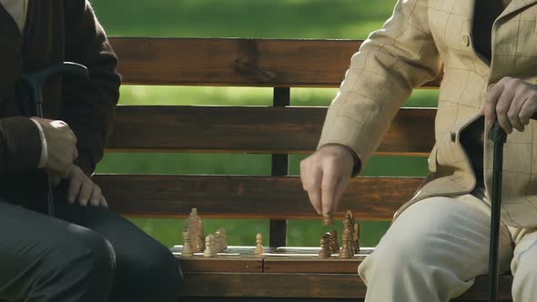 Two Pensioners Playing Chess on Park Bench, Game Strategy, Brain Exercise, Hobby