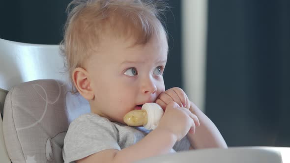 Cute Kid with Food Nibbler Baby Fruit Pacifier Sitting in Booster Seat Fixed on Top of Dining Chair