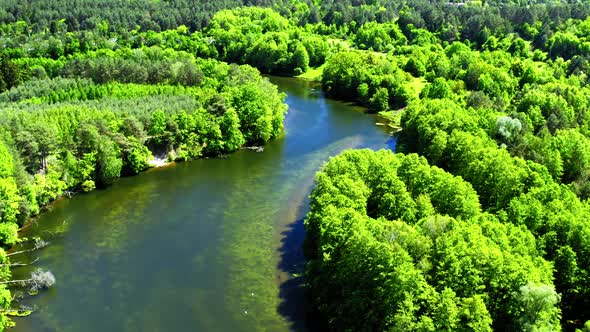 Aerial view of the river winding among the forest, Poland