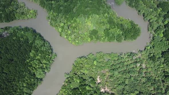 Aerial View on Mangrove Forest in Thailand