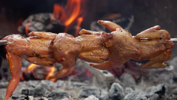 Raw Marinated Juicy Quails on the Skewer are Rotated on the Background Open Fire