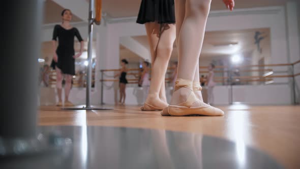 Ballet Training Group of Little Girls Training Ballet in the Mirror Studio Two of Them Training