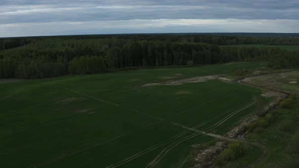 Latvia Fields In Spring