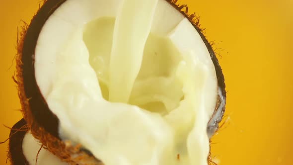 Splash of milk in a coconut on an orange background. Slow motion.