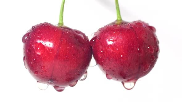 Two Cherries on One Branch on a White Background