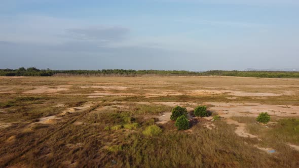 Dry grass due to drought at wetland Malaysia