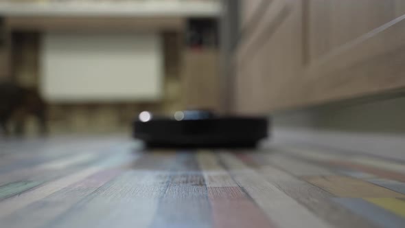 Robot Vacuum Cleaner Cleans the Floor Close Up