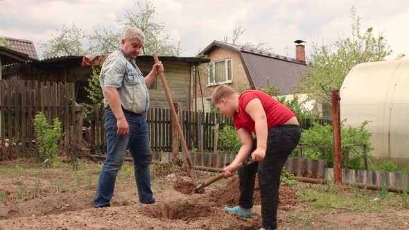 A Father and Son Together are Digging a Hole with a Shovel for Planting a Tree