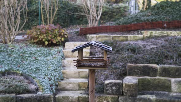 Birdhouse standing on a stick in a garden