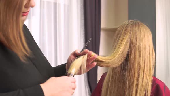 A Woman Hairdresser Cuts the Ends of Natural Blonde Hair with Scissors