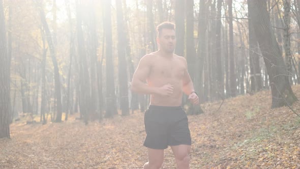 Young Man Doing Exercises In The Forest.