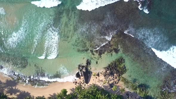 Ocean Waves Roll on Sandy Coastline with Green Palm Trees