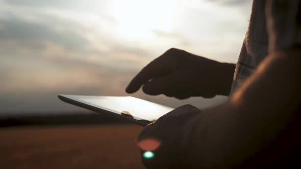 Senior Farmer Standing in a Wheat Field Using Modern Technologies in Agriculture at Sunset