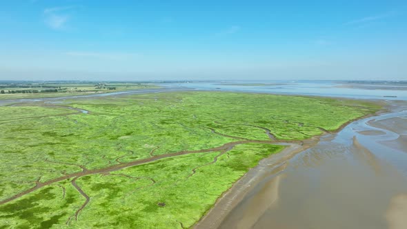 Aerial shot of wetlands with grass, bushes and muddy rivers leading into the river Scheldt under a b