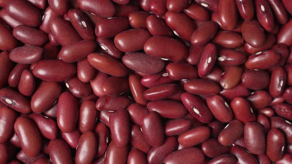 Red Beans 31