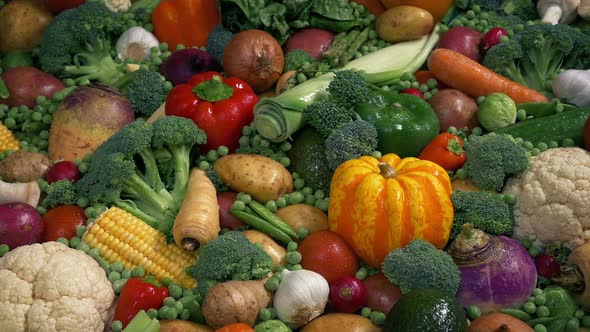 Fresh Wet Vegetables In Colorful Display