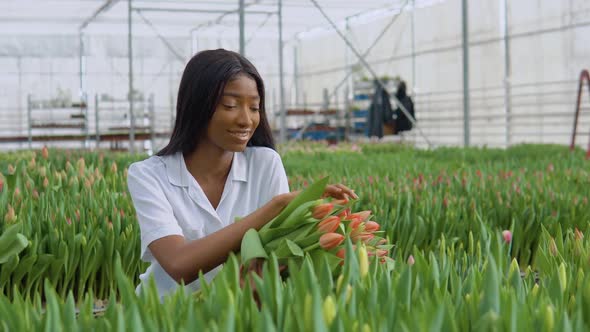 Beautiful Young African American Girl in a White Shirt Admires the Flowers of Tulips in a Bouquet