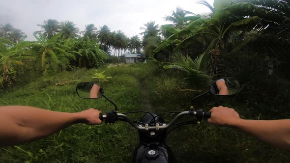 Journey through a beautiful palm trees jungle. GroPro shot of riding a motorbike through the jungle.