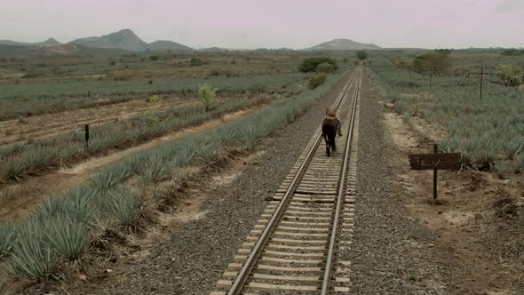 Riding a horse in the railroads of the agave valleys of Tequila Jalisco, Mexico.