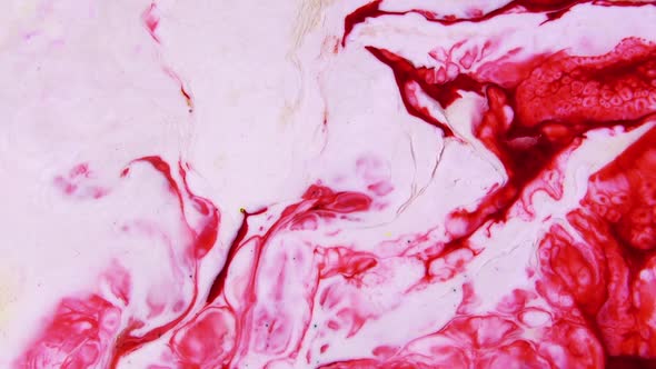 Psychedelic Color Spreading Paint Swirling alt