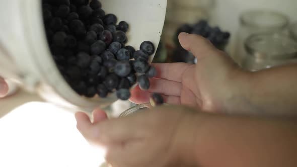 Fresh Blueberries