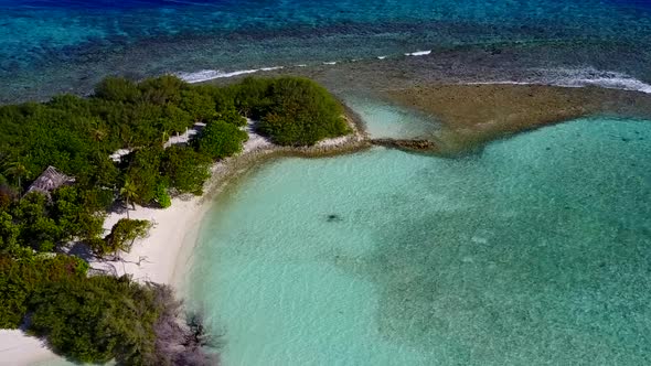 Drone aerial scenery of tropical lagoon beach wildlife by water and sand background