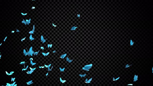 Blue Butterflies