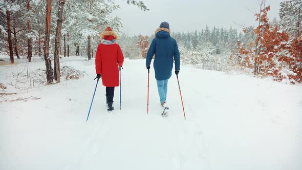 Couple Practicing Nordic Walking In Forest. Sticks Walking On Winter Wood. Winter Adventure Hiking.