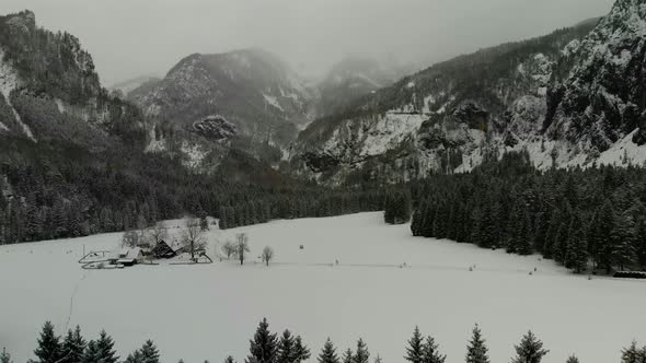 Beautiful view on an Forest with Mountains in Schiederweiher in Upper Austria Drone Video