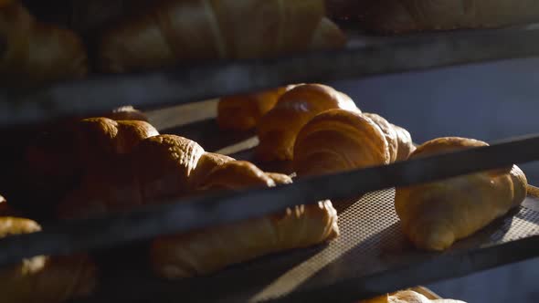 Close View of Rack of Plates with Croissants During Baking in a Bakery