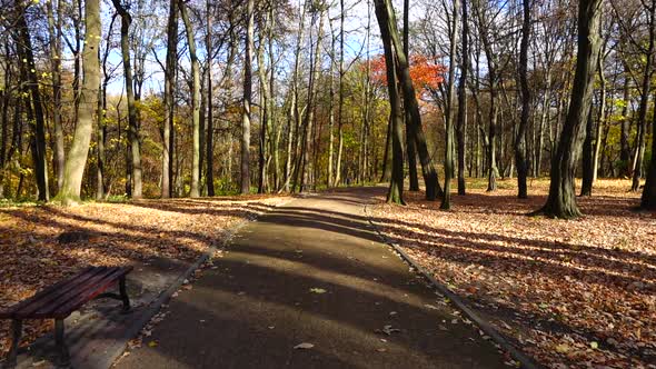 Walkway in the autumn park.