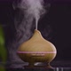Humidifier Diffuser Bambus Green Plant Black Background - VideoHive Item for Sale