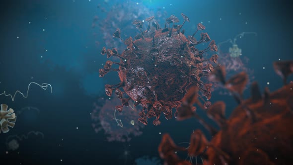 Coronavirus and Influenza alt