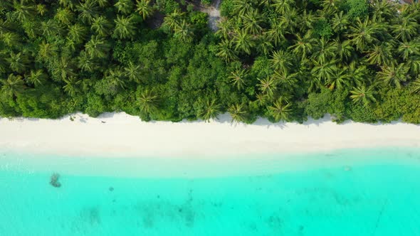 Top view of paradise beach with white sand bordered by palm trees forest and calm turquoise lagoon i