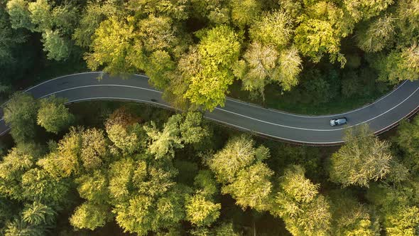 Drone flight over a autumn forest as topdown, following a cyclist at a mountain street with curves h