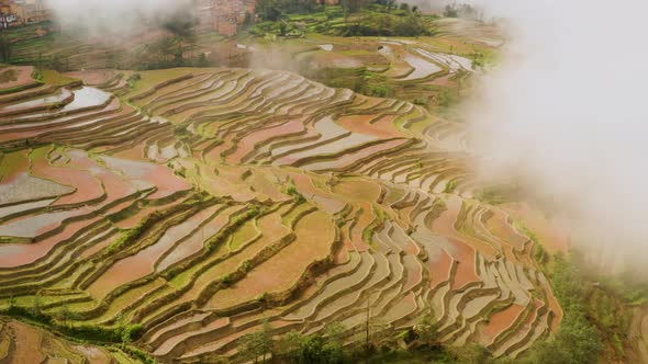 Aerial shot of the famous terraced rice fields of Yuanyang County China