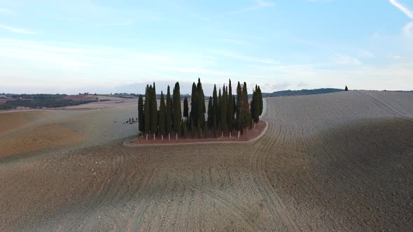 Cypress Trees and Rolling Hills, Val d'Orcia Tuscany