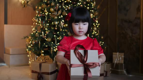 Korean Girl Child Stands at the Christmas Tree with a Gift Box in the Studio