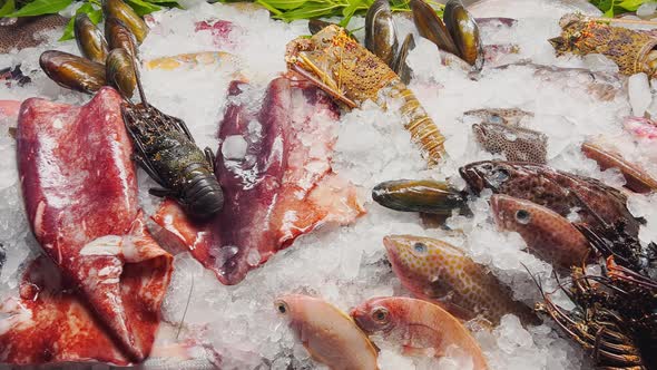 Close Up Footage of a Variety of Fresh Seafood on the Counter with Fine Crushed Ice Crabs Lobsters