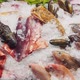 Close Up Footage of a Variety of Fresh Seafood on the Counter with Fine Crushed Ice Crabs Lobsters - VideoHive Item for Sale