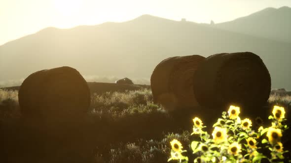 Hay Bales in the Sunset