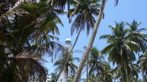 Dondra Head Lighthouse Behind the Palmtrees