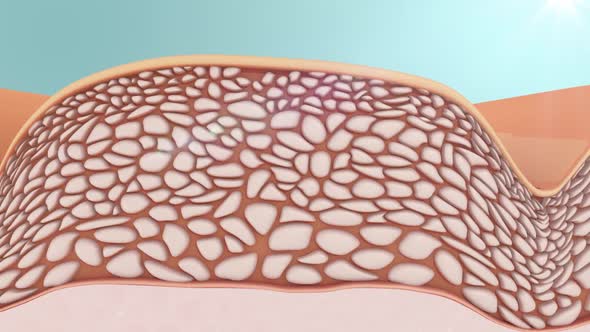 2d animation, growth of section of skin. Skin increasing