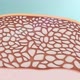 2d animation, growth of section of skin. Skin increasing - VideoHive Item for Sale