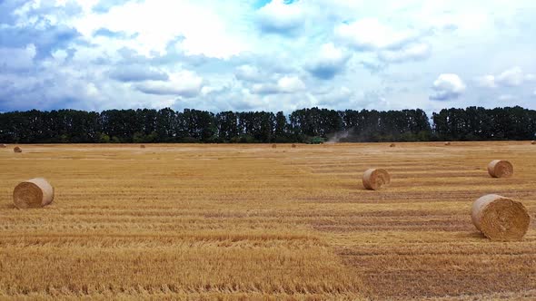 Straw bales stacked in a field. Harmonious landscape with twisted haystacks