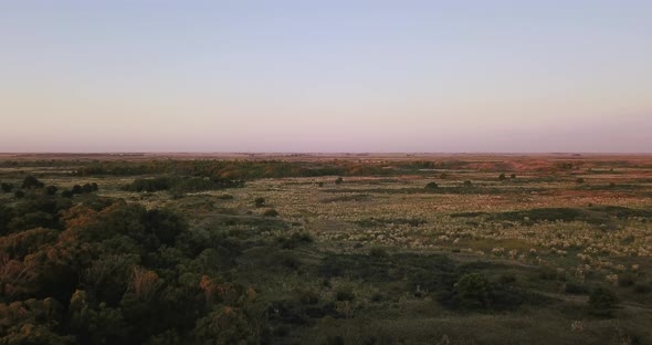 Countryside Landscape With Dense Foliage And Vegetation Near Coastal Town Of Monte Hermoso, Argentin