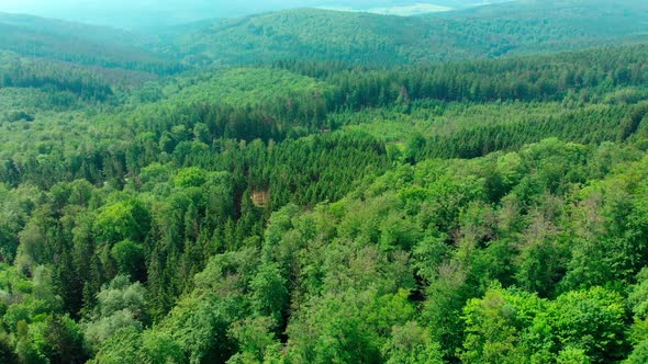 drone aerial flight over lush green summer forest and mountain landscape