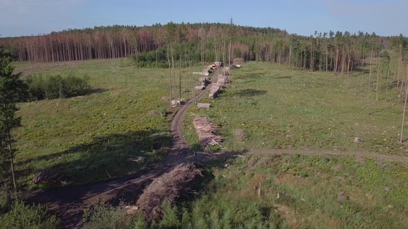 aerial deforested landscape, harvested forest 