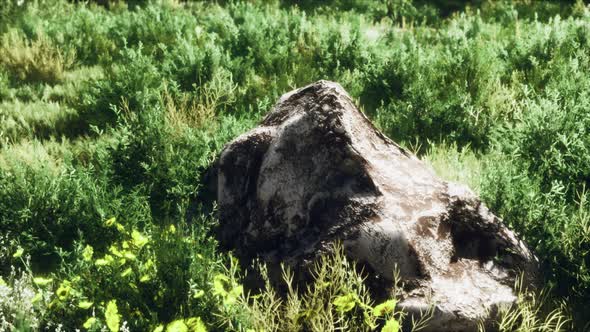 Big Rocks on Field with Dry Grass