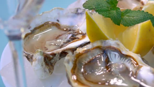 Open Oysters on a White Plate with Ice and Lemon